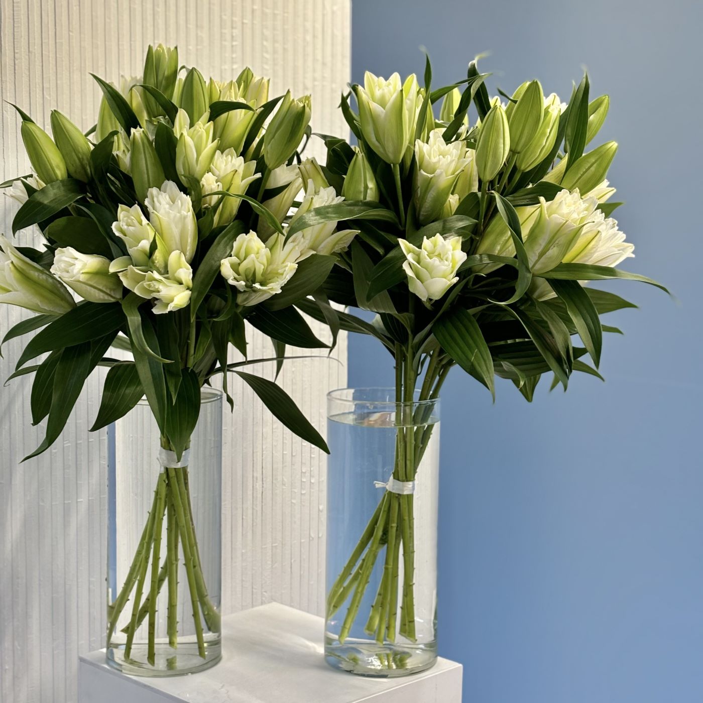 ПИОНОВИДНЫЕ ЛИЛИИ