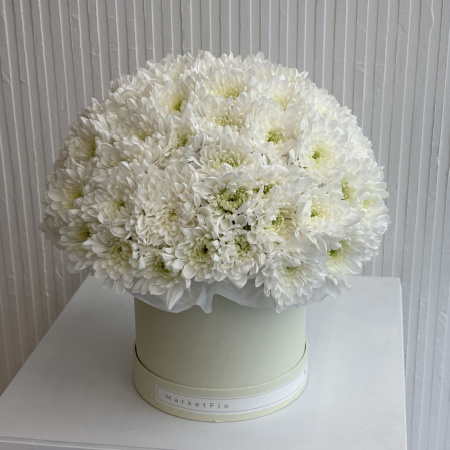 КОРОБКА С ХРИЗАНТЕМАМИ