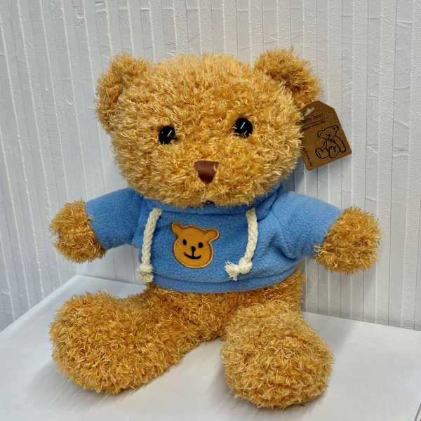 МИШКА В ХУДИ