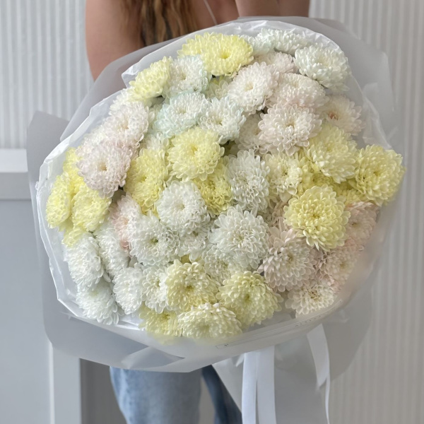 ПЕРЕЛИВЫ ИЗ ХРИЗАНТЕМЫ