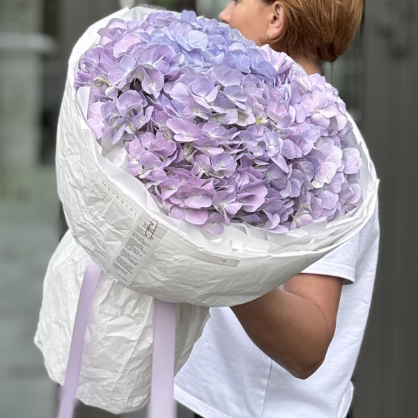 БУКЕТ ИЗ ГОРТЕНЗИЙ