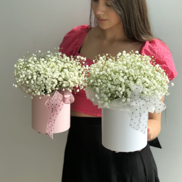 КОРОБКА С ГИПСОФИЛОЙ