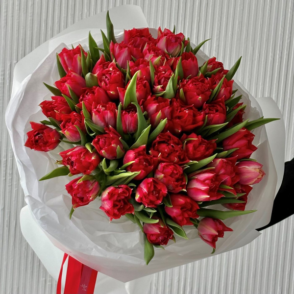БУКЕТ ИЗ 51 ТЮЛЬПАНА
