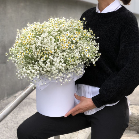 КОРОБКА С РОМАШКАМИ И ГИПСОФИЛОЙ