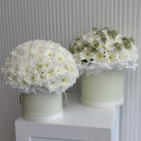 КОРОБКА С ХРИЗАНТЕМАМИ