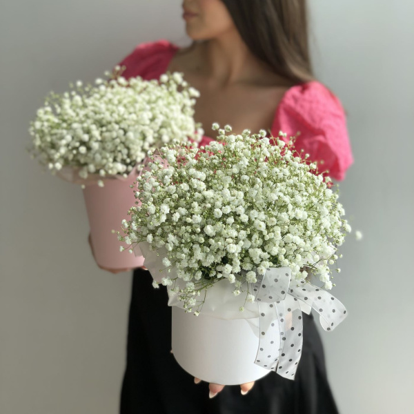 КОРОБКА С ГИПСОФИЛОЙ