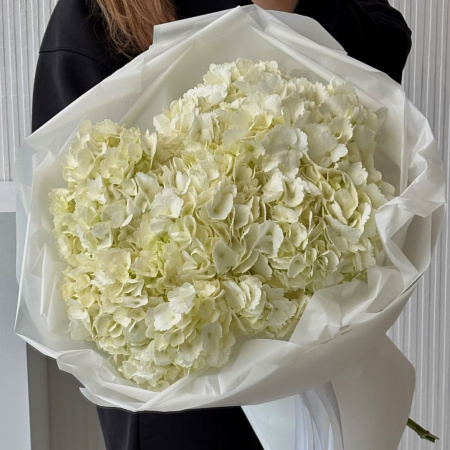 БУКЕТ С БЕЛЫМИ ГОРТЕНЗИЯМИ