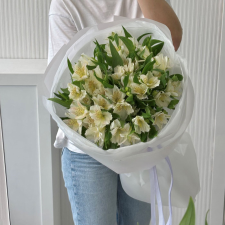 АЛЬСТРОМЕРИИ