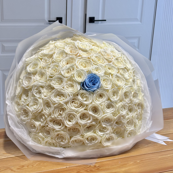 101 БЕЛАЯ ПИОНОВИДНАЯ РОЗА ПЛАЯ БЛАНКА