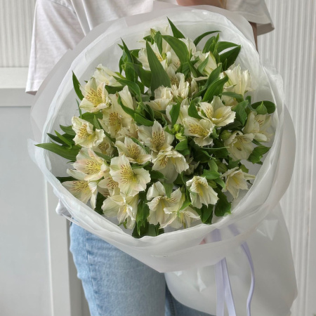 АЛЬСТРОМЕРИИ