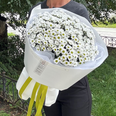 БУКЕТ ИЗ РОМАШЕК САНТИНИ